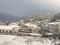 九华山松苑山庄 - 家庭亲子房