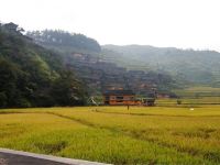 雷山好来屋客栈 - 观景标准双床间（公共卫浴）