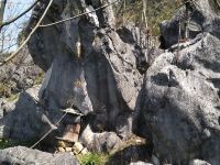 千岛湖畔山庄 - 标准间