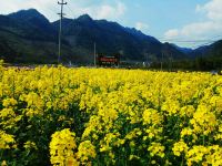 杭州龙井峡坤园山庄 - 豪华大床房