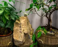 West Lake Time Su Guesthouse Hotels near Huizhou West Lake