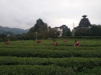 恩施茶花山居客栈 - 二室三床房