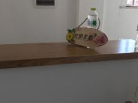 水岸居度假别墅(桐庐柴中线店) - 江边一室大床房