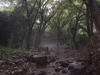 宁海观云居小刘客栈 - 民宿大床房