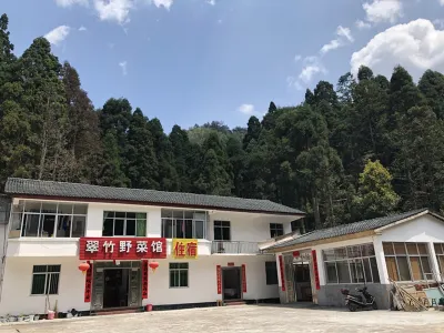Jinggangshan Cuizhu Wild Vegetable Restaurant Accommodation
