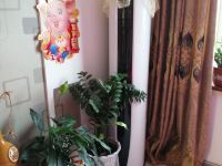 通化缘分姐姐公寓(2号店) - 精装二室一厅套房