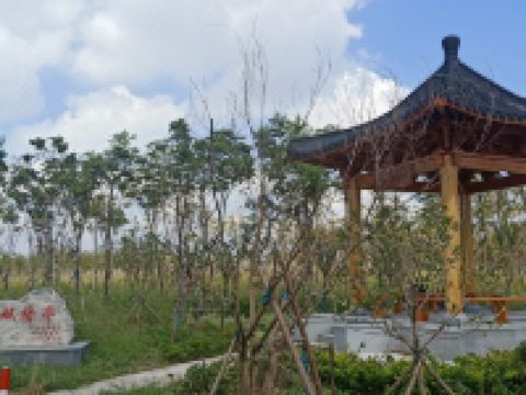 上海童逸农庄民宿 - 其他