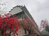 泾县静水闲居假日酒店 - 舒适大床房