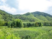 莫干山紫燕山居客栈 - 双大床房