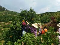 资兴水果农庄 - 舒适湖景双床房