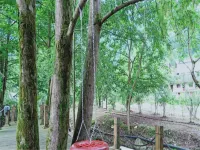 Yujing Longcang Oxygen Bar Station - Pet friendly