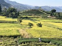 松阳道隐泉居民宿 - 精致标间