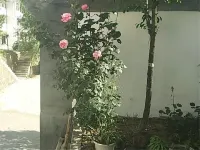 Ganquan Loess Home Farm House