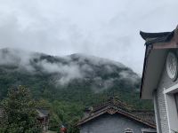 成都青城山图画艺术民宿 - 四合院