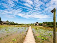 蒲江珍吾居客栈 - 大床房