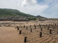 平潭顺意居民宿 - 舒适大床房