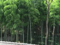 莫干山闲福民宿 - 沙滩