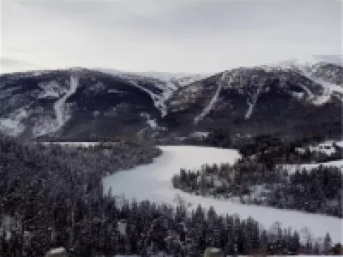 特克斯雲霧牧家