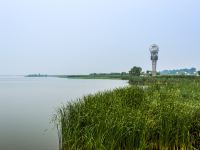 衡水文子家湖景民宿 - 宜家二室一厅套房