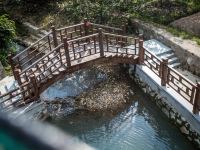 宁波象山枇杷小屋(高湾特大桥分店) - 舒适标间