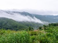 漳州悠然蓝山民宿 - 十里四室二厅套房