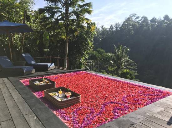 View Ubud Valley Boutique Resort Bali Images