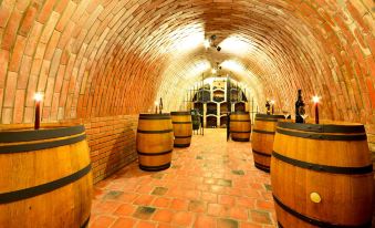 Wellness Hotel Ondrášův dvůr