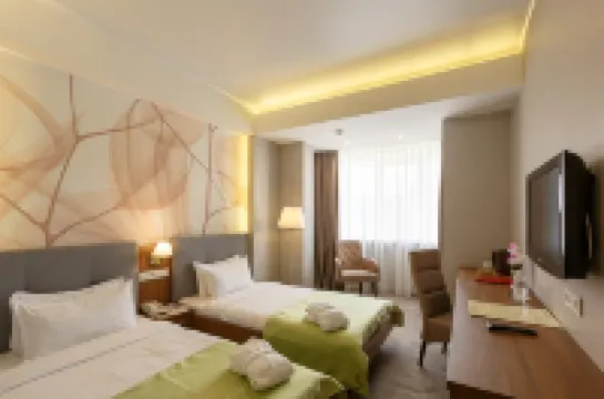 瑞尼海爾斯飯店