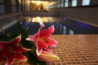 Hotel Kristaly Imperial - Kolam Renang