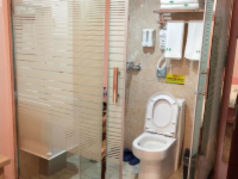 安庆青树皮宾馆 - 榻榻米房