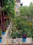 Turpan Yarbak Farmhouse Hotels near Jiaohe Post Scenic Area—Source of Karez