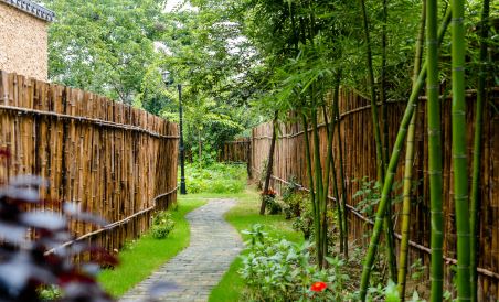 Nanshan Bamboo Sea Once Slow Homestay - Housity