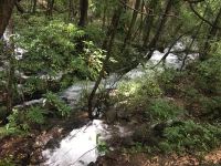 维西四鸣精舍 - 酒店附近