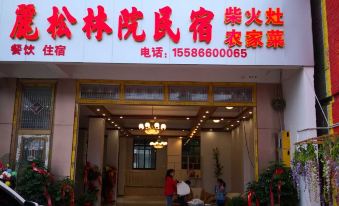 Lisonglinyuan Homestay