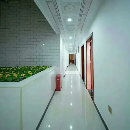 Linwu Qingxu Hotel