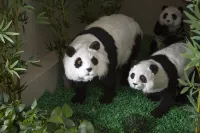 Xihe Ecological Hotel