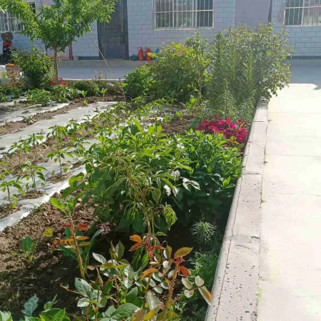 Guyuan Tianyuan Green Farm Stay