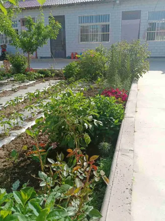 Guyuan Tianyuan Green Farm Stay