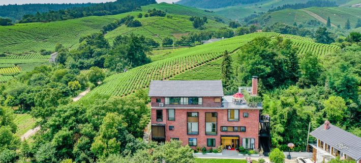 YundingTea House (Near Sky Tea) Hotels in Changxing County