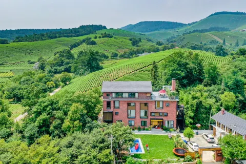 YundingTea House (Near Deep Blue Plan)