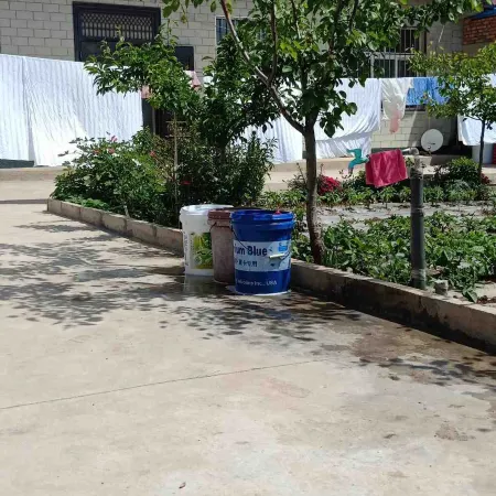 Guyuan Tianyuan Green Farm Stay