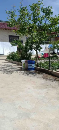 Guyuan Tianyuan Green Farm Stay