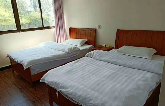 福貢猴子樹客棧