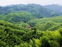 溧阳野蔓草民宿 - 其他