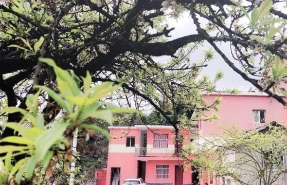 百里杜鵑勤和旅館