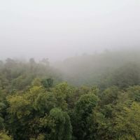 評論圖片 2