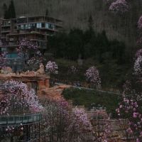 評論圖片 9