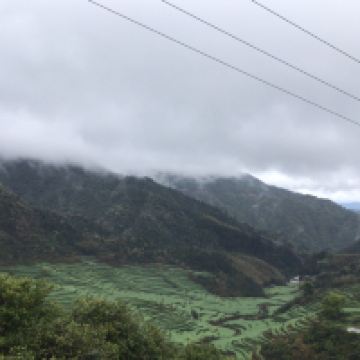 評論圖片 8
