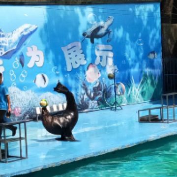 評論圖片 4