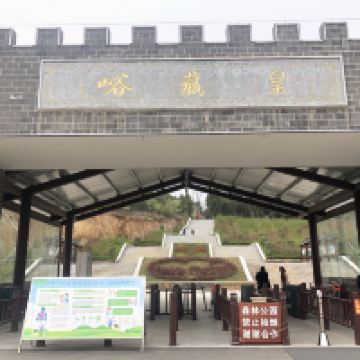 評論圖片 2